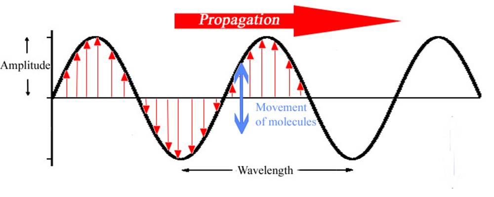 Transverse Waves Examples Video Bokep Ngentot
